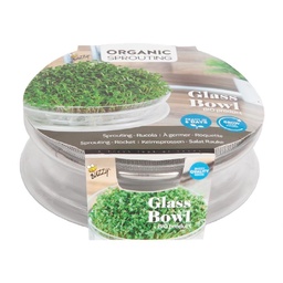 [12-085387] Organic Sprouting Glazen Bowl met Rucola BIO