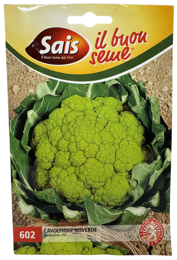 [25-000602] Gekleurde Bloemkool NOVERDE - ca 3g