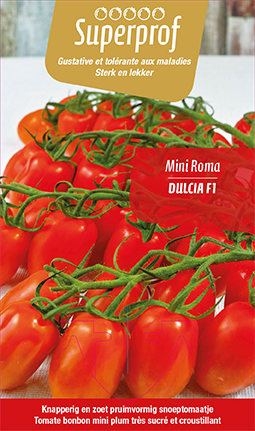 [MR-7500] Tomaat Mini-Roma Dulcia F1 - 1 plantje
