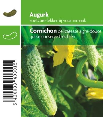 [MR-3010] Augurk VERT PETIT DE PARIS - 1 plantje