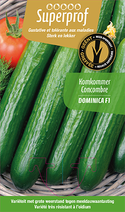 [MR-7140] Geënte komkommer Dominica F1 - 1 Plantje
