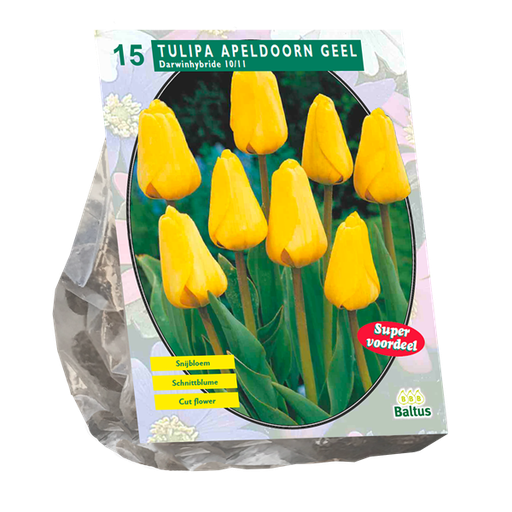 [09-301811] Tulipa Apeldoorn Geel - 15 st