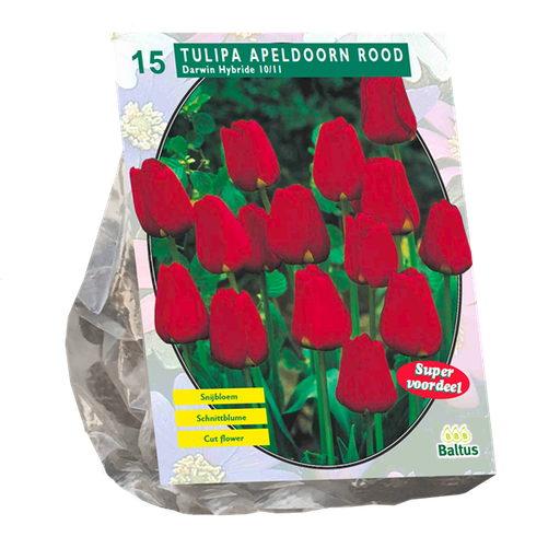 [09-301821] Tulipa Apeldoorn Rood - 15 st