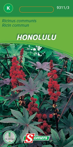 [03-093113] Ricinus communis HONOLULU - ca 2,5 g