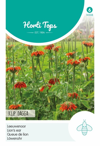 [02-014508] Leonotis LEEUWENOOR KLIP DAGGA - ca 20 z