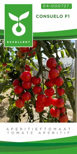 [04-000727] Aperitieftomaat CONSUELO F1 - ca 20 z