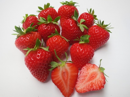 [08-004130] Aardbeien HARMONY doordragend - 24 frigoplanten