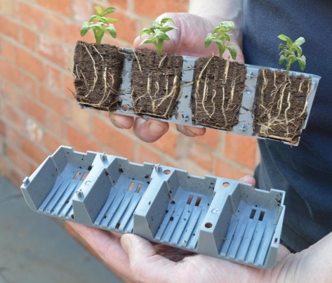 24 aparte plantcellen voor een betere wortelontwikkeling