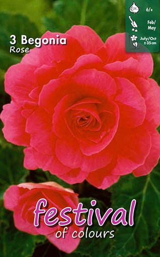 [09-200387] Begonia Pink Double - 3 st