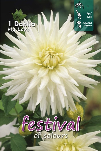 [09-202507] Dahlia My Love - 1st