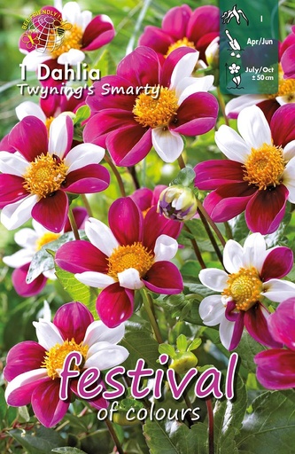 [09-202209] Dahlia Twyning's Smarty - 1st