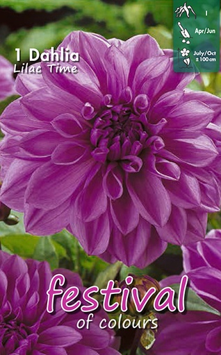 [09-200268] Dahlia Lilac Time - 1st