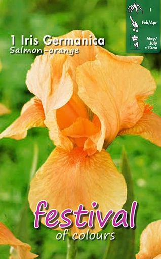 [09-200993] IRIS Orange - 1 st.