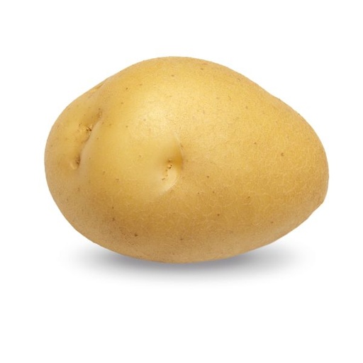 Aardappelpootgoed BERBER klasse A 28/35