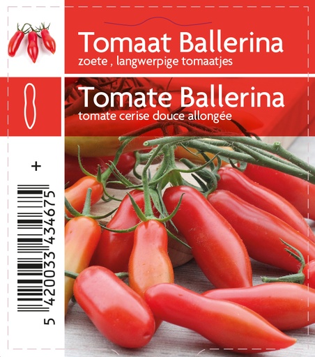 [MR-3467] Tomaat Ballerina F1 - 1 plantje