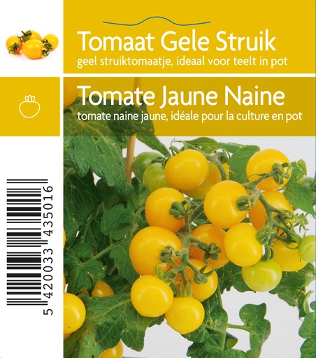 [MR-3501] Struiktomaat geel Smiley F1 - 1 plantje