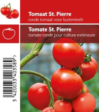 [MR-3810] Tomaat St. Pierre - 1 plantje