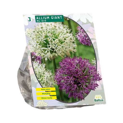 [09-300045] Allium Giant Mix - 3 st