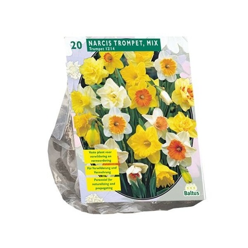 [09-301342] Narcissus Trumpet Mix - 15 st