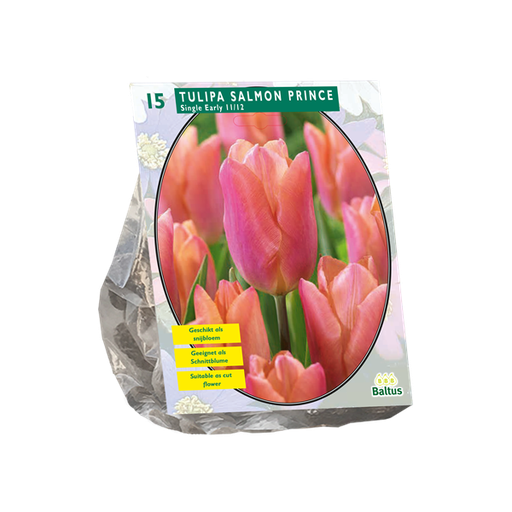 [09-302166] Tulipa Single Early Salmon Prince - 10 st