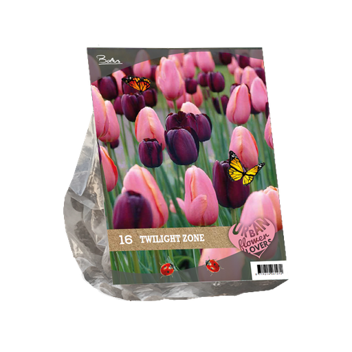 [09-306100] Urban Flowers Twilight Zone - 16 st