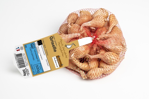 [07-003926] Plantsjalot GRISELLE