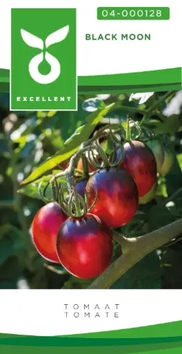 [04-000728] Aperitieftomaat BLACK MOON - ca 20 z