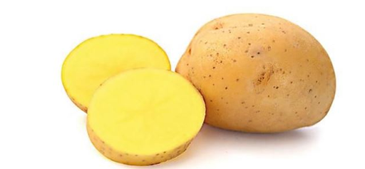 Aardappelpootgoed OTOLIA klasse A 28/35