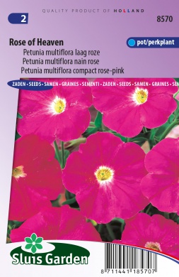 [01-008570] Petunia ROSE OF HEAVEN ca 0,1 g