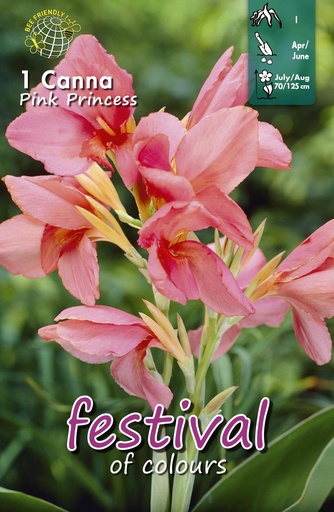 [09-204792] Canna Pink Princess - 1st