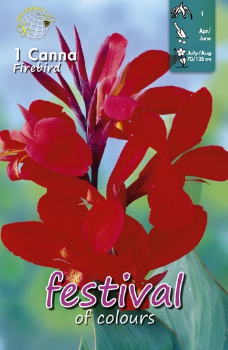 [09-204795] Canna Firebird - 1st