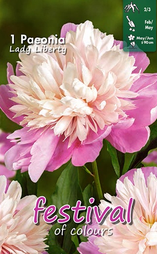 [09-201796] PIOEN Lady Liberty 1 st