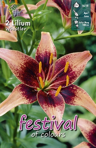 [09-204798] lelies WHISTLER - 2 st