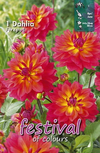 [09-204786] Dahlia Firepot Decorative - 1 st