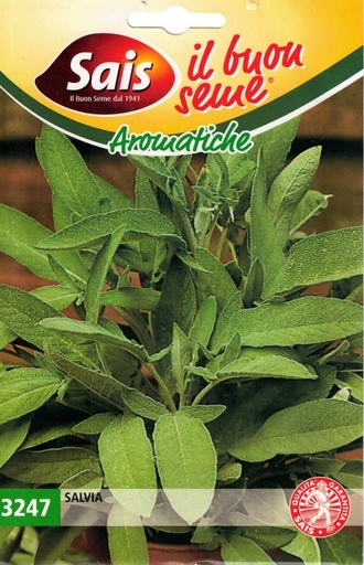 [25-003247] Salie SALVIA - ca 3 g