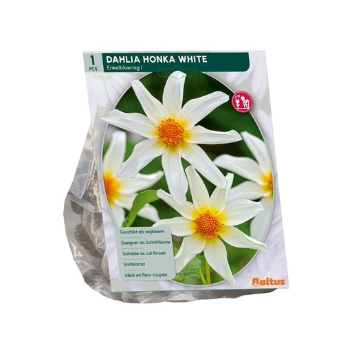[09-206750] Dahlia Honka White - 1 st