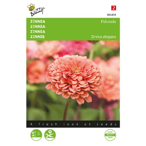 [02-004859] Zinnia ELDORADO - ca 125 z