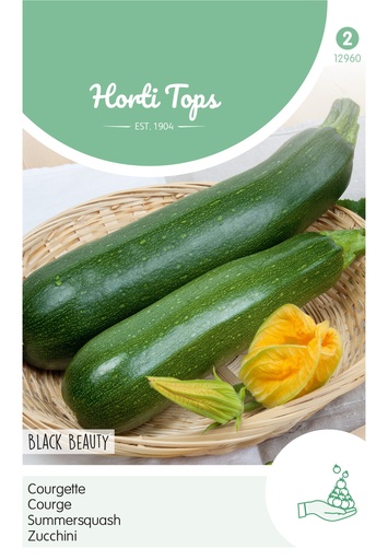 [02-012960] HT Courgette BLACK BEAUTY - ca 5 g